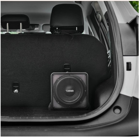 DS18 Loaded Subwoofer Enclosure 8" 300W RMS Subwoofer with 8" Passive Sub
