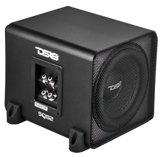 DS18 Loaded Subwoofer Enclosure 8" 300W RMS Subwoofer with 8" Passive Sub