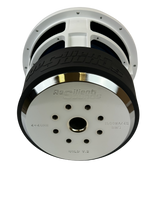Resilient Sounds Gold 10 V2 rear motor and frame